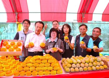 番路柿子節連假開跑　吸引人潮品嘗美味