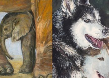 台北市東欣扶輪社首創藝術結合動保活動