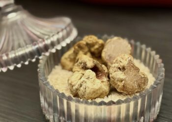 全台最頂規義大利阿爾巴白松露   北投三二行館開賣啦!