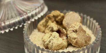 全台最頂規義大利阿爾巴白松露   北投三二行館開賣啦!