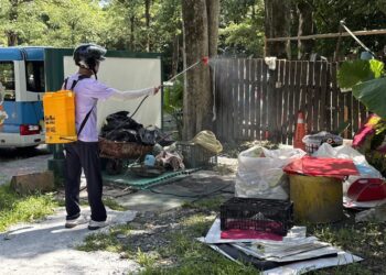 宜蘭縣出現今年首例本土登革熱    縣府啟動緊急防治措施