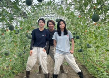 「嘉我好漾」線上創業課程結合AI 激發青年創造力