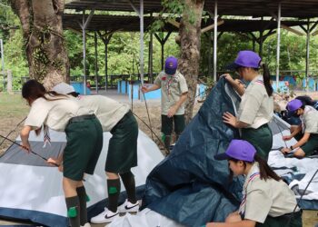 嘉義縣114年度童軍大露營盛大展開 挑戰自我的學習體驗