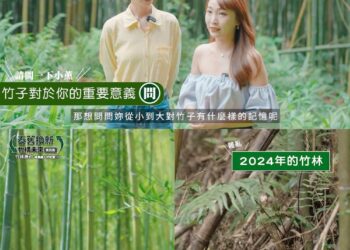 中華電信ESG「泰舊換新 竹構未來」　 助青年返鄉撫育竹林固碳愛地球