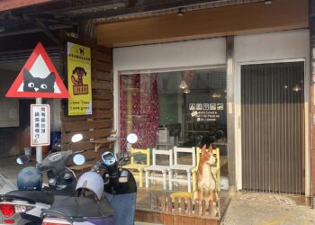 響應「浪愛回嘉」再+1 市府攜手「米克斯寵物友善餐廳」打造幸福認養站