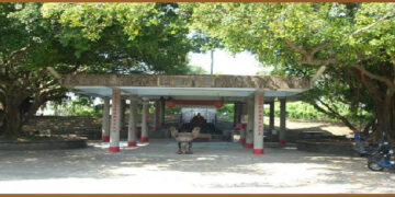 735高樹廖金鐘紀念湖 歷史前後景觀與現况: