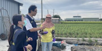 溪湖新住民勤耕韭菜花田　用雙手摘出雙學霸