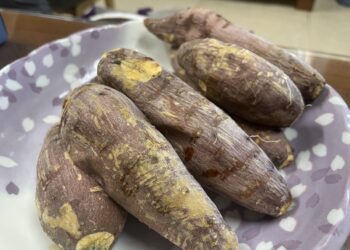 新住民紮根彰化大城  夫妻攜手耕耘以汗水串起兩地情感與歸屬