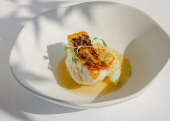 沉浸山林、白磺湯泉與法式饗宴的冬日慢旅正式開啟  北投麗禧冬季一泊二食專案登場