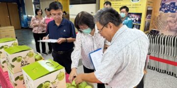 影音/中部優質番石榴果品評鑑競賽  優秀果農齊聚比拚