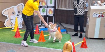 2025虎頭埤水與綠萌寶戲水節　11月16日一同來FUN閃