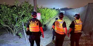 入冬檸檬價揚　里港警分局啟動「護檸專案」