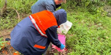 新北爆首例本土登革熱 6旬婦無旅遊史感染源不明