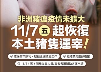 非洲豬瘟疫情未擴大 11/7起恢復運宰 賴清德：解禁後仍須落實防疫措施