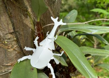 紙雕藝術與自然共舞 成美文化園推「買大送小」優惠昆蟲創藝PARTY變身中部最大親子樂園