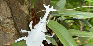 紙雕藝術與自然共舞 成美文化園推「買大送小」優惠昆蟲創藝PARTY變身中部最大親子樂園