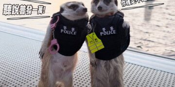 防詐有撇步！　網紅采瑄萌警聯手宣導普發金防騙