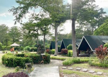 走進茶山、漫遊曾文湖畔　玩出原鄉風情與山林風光