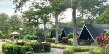 走進茶山、漫遊曾文湖畔　玩出原鄉風情與山林風光