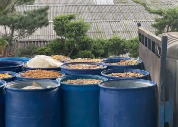 新北養豬場遭重罰百萬 違規餵食廚餘 補助全數取消得不償失