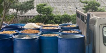 新北養豬場遭重罰百萬 違規餵食廚餘 補助全數取消得不償失