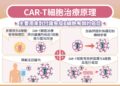 【CAR T細胞治療、逆轉癌末困境】高醫為南部唯一具健保執行資格之醫學中心