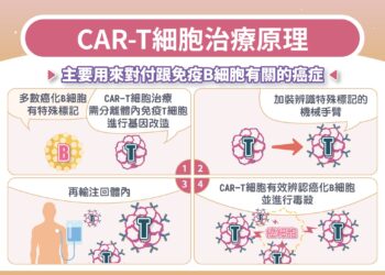 【CAR T細胞治療、逆轉癌末困境】高醫為南部唯一具健保執行資格之醫學中心