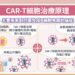 【CAR T細胞治療、逆轉癌末困境】高醫為南部唯一具健保執行資格之醫學中心