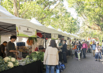 臺大USR農夫市集熱鬧登場 優質農畜漁牧產品直送校園