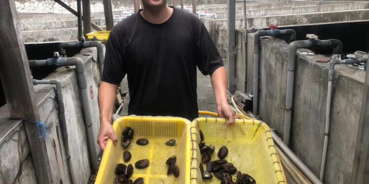 貢寮鮑最肥美　新北澳底漁港11/15、16邀您「貢饗鮮味」