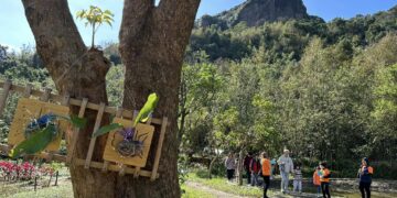 福智文教基金會以公辦民營建構「瑪陵國小」幸福永續校園　獲114年基隆市政府評鑑「特優」肯定