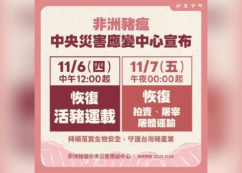 11/6中午恢復活豬運載 11/7恢復拍賣、屠宰