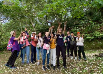 漫步桐花山城　探索四腳亭秘境　瑞芳區公所邀您延續桐花祭的浪漫旅程