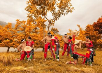 114年花蓮縣學生舞蹈比賽  四維高中榮獲特優