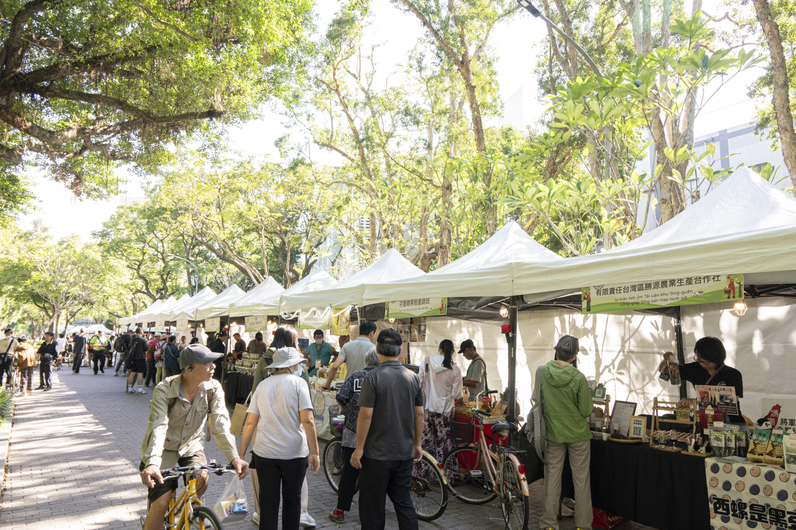 ▲(圖/國立台灣大學提供。)