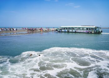 候鳥季來了 「鷺境嘉義」親子賞鳥活動開跑