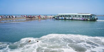 候鳥季來了 「鷺境嘉義」親子賞鳥活動開跑