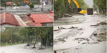影音/鳳凰未到雨先到 泥流肆虐明利村