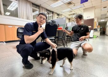 迷路黑柴慌慌張張 警民協力助重返主人懷抱