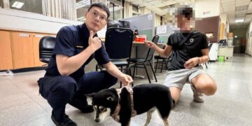 迷路黑柴慌慌張張　警民協力助重返主人懷抱