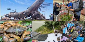 影音/礁溪大塭豐收感恩的時節 《時潮‧旬味》澎湃登場