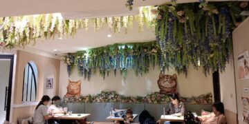 專訪李貓貓主題餐廳 10隻萌貓打造沉浸式療癒空間 成高雄最新打卡新亮點