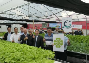 鼎新再現　水耕蔬菜翹楚