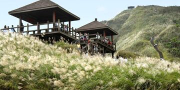 東北角秋遊芒花季登場! 台灣好行東北角套票深入探索山海風光