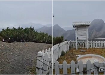 影/玉山初雪降臨!雪花紛飛30分鐘 落地即融化無積雪