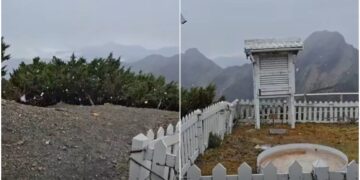 影/玉山初雪降臨!雪花紛飛30分鐘 落地即融化無積雪