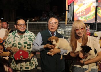 南臺灣最萌寵物派對野餐我PET你滾草皮音樂市集 水交社文化園區重磅回歸