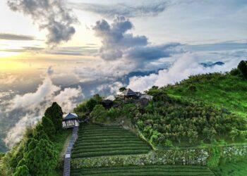 交通部「觀光亮點獎」評選出爐 嘉義縣4大景點獲獎