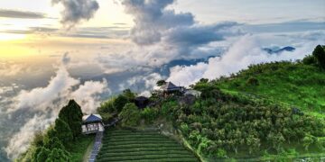 交通部「觀光亮點獎」評選出爐　嘉義縣4大景點獲獎