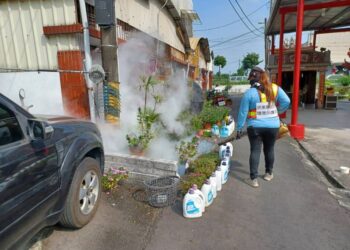 屏東出現本土登革熱病例 縣府提醒民眾落實防疫防蚊措施防堵疫情擴散